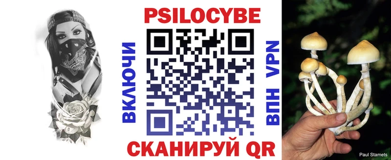 Галлюциногенные грибы ЛСД Новотитаровская