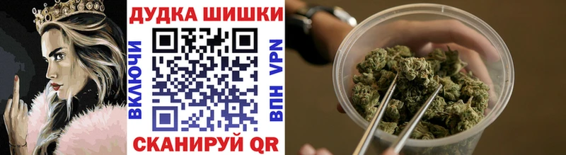 Каннабис ГИДРОПОН  kraken как зайти  Новотитаровская 